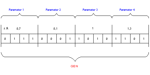 Parameter to Binary Code Transformation